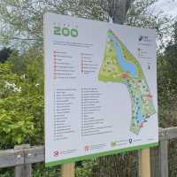 아일랜드 더블린 동물원, Dublin Zoo