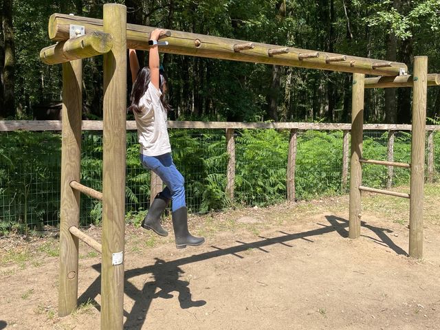 在動物園內飛馳 🏁