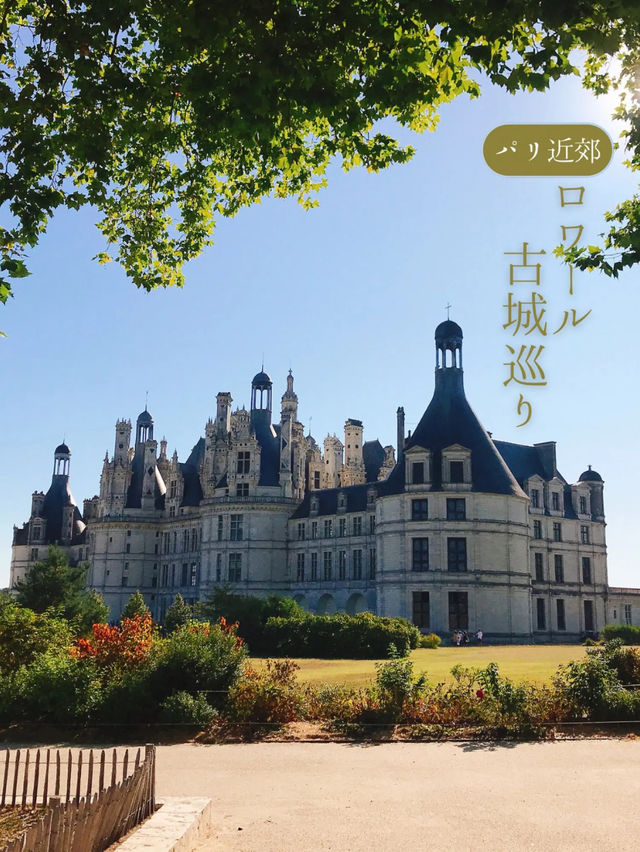 【ロワール渓谷/フランス】2023年思い出に残った親子旅　ロワール古城巡り