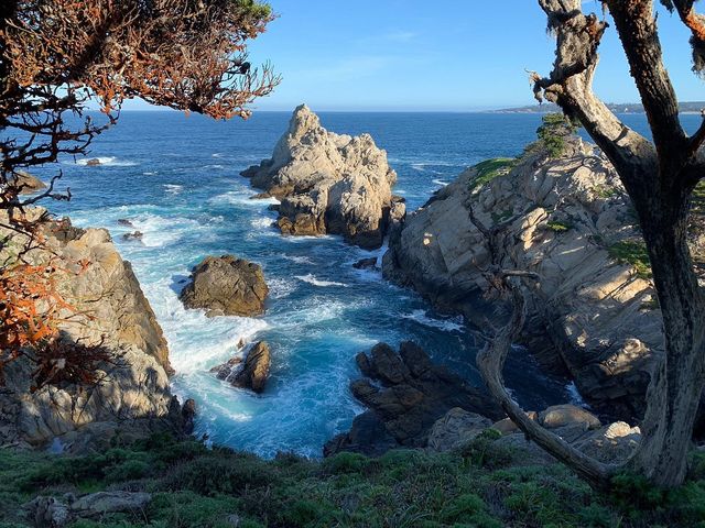 Hidden Gem Adventure in Carmel-by-the-Sea