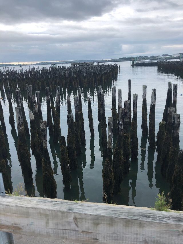 Lighthouse Views and Lobster Tales