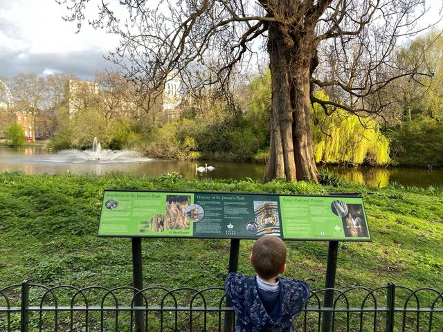 🌿🦢 St. James's Park: Tranquility in London 