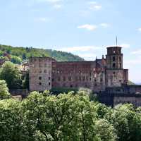 Heidelberg City Walk
