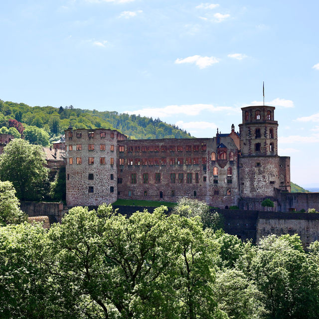 Heidelberg City Walk
