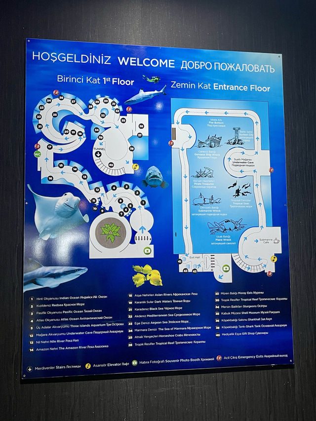 Dive into Antalya Aquarium, Türkiye 🐠