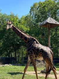 Lehigh Valley Zoo 🇺🇸