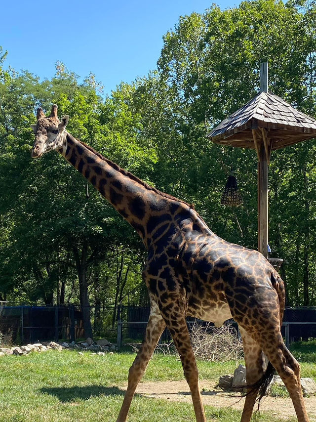 Lehigh Valley Zoo 🇺🇸