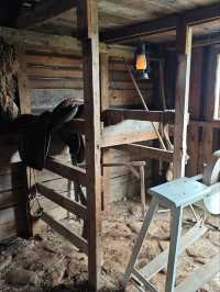 Farm Life at Araer Open Air Museum – A Glimpse into Iceland's Past 🐑🌾