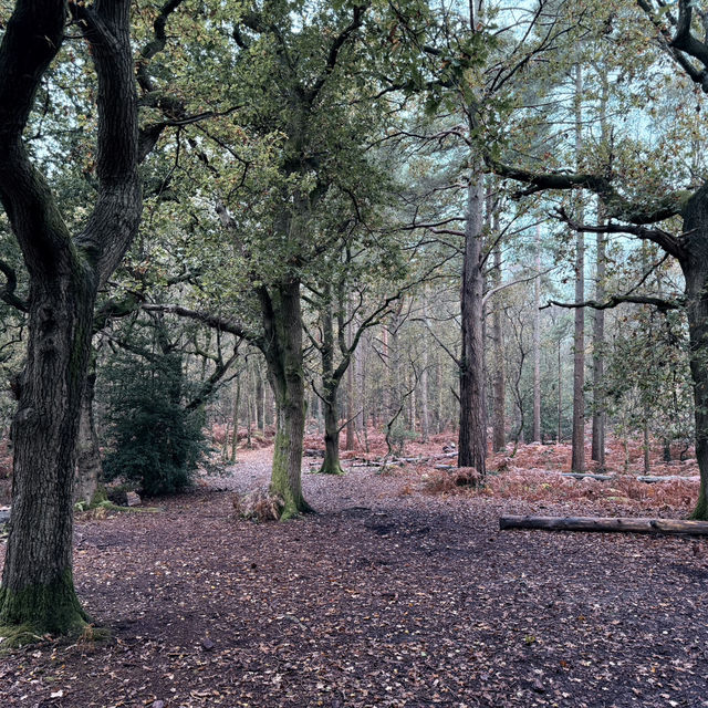 Buchan Country Park, Crawley