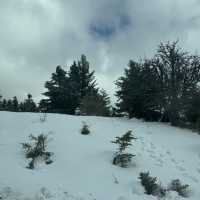 Parnassos Peaks & Powder: Where Greek Gods Ski!