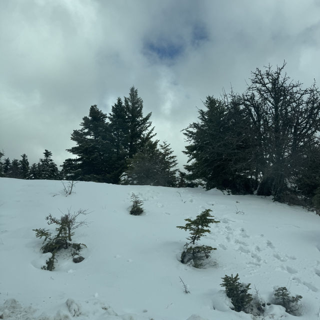 Parnassos Peaks & Powder: Where Greek Gods Ski!