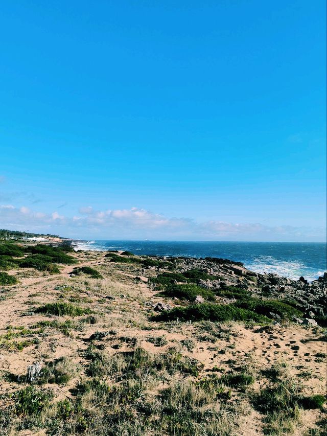 🌊 Watching the Ocean in Cascais, Portugal 🌅