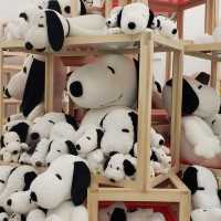 You can enjoy the whole worldview of Snoopy and others