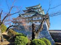 Beautiful Japan in the autumn.