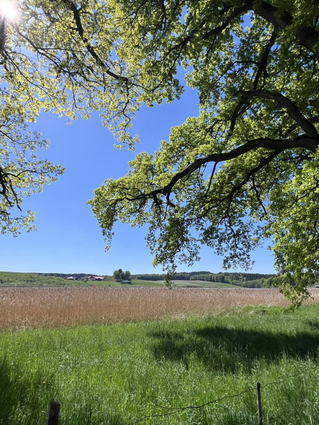 **Egglsee in Ebersberg：湖光森林裡的隱藏版療癒時光**  