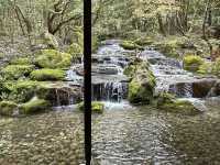 Onsen Experience
