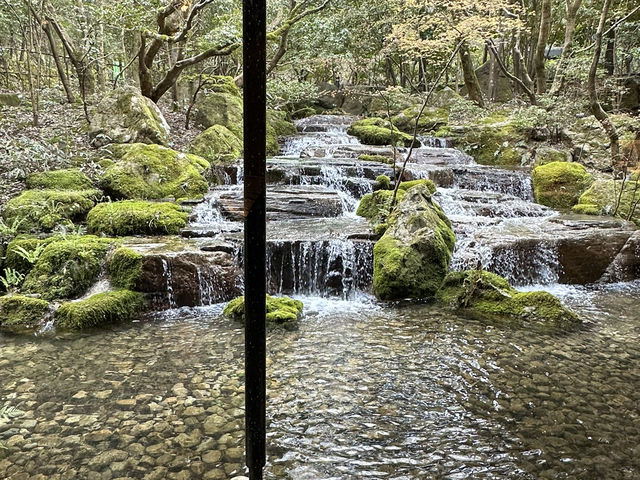 Onsen Experience