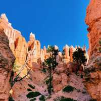 🏜️✨ Top Landmarks in Bryce Canyon National Park – Nature’s Sculpture Garden