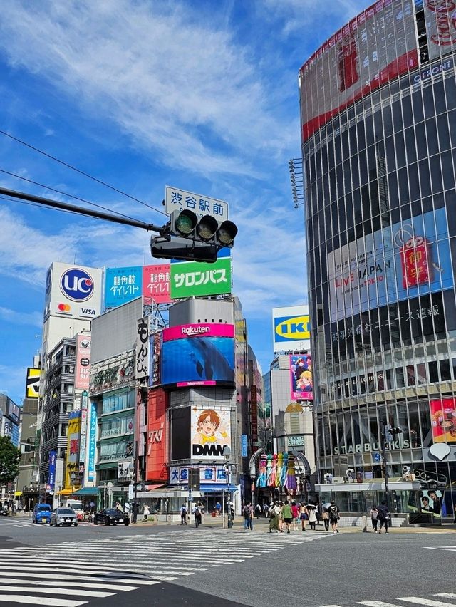 Tokyo: A City of a Thousand Worlds
