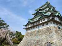 Nagoya Vibes: Castles, Cherry Blossoms, and Local Flavors