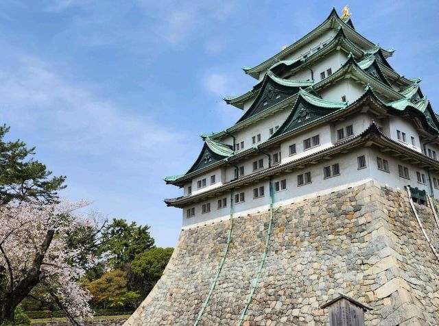 Nagoya Vibes: Castles, Cherry Blossoms, and Local Flavors