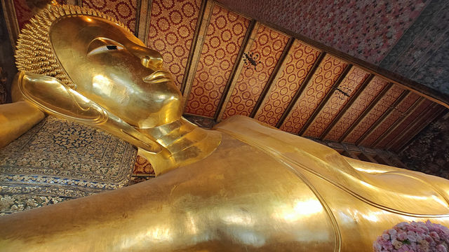 10 Essential Experiences for First-Timers in Thailand🌴🐘