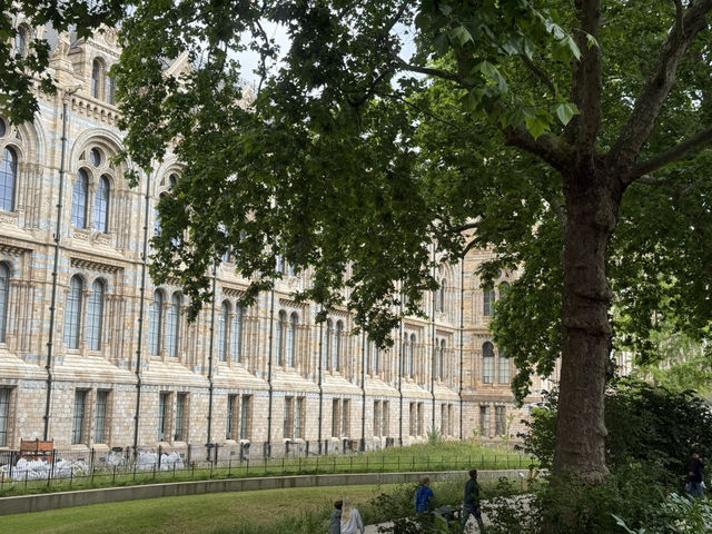🦕🏛️ Free Museum Day Out at London’s Natural History Museum