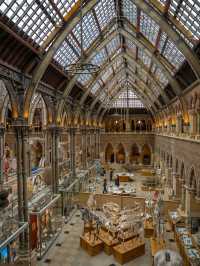 🏛️ Oxford University Museum of Natural History – Gothic Wonder & Scientific Treasure
