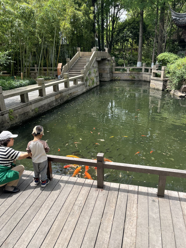 A Peaceful Escape to Zhujiajiao Water Town 🛶✨