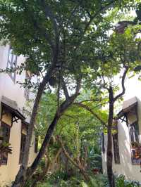 Silk village Hoi an: silk lovers should know 