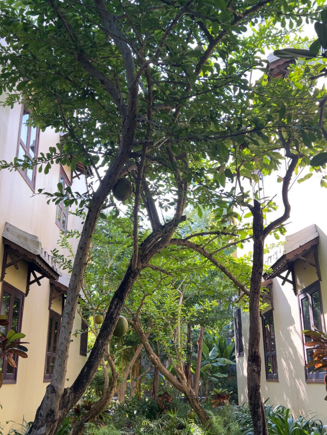Silk village Hoi an: silk lovers should know 