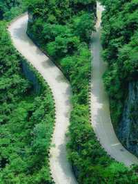 Floating Mountains and Hidden Paths: A Day in Zhangjiajie