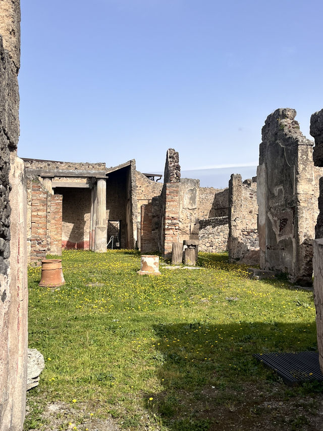 Pompeii: A Heartbreaking Time Capsule of Ancient Life