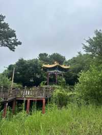  Top Things to Do in Seogwipo, Jeju 🌊