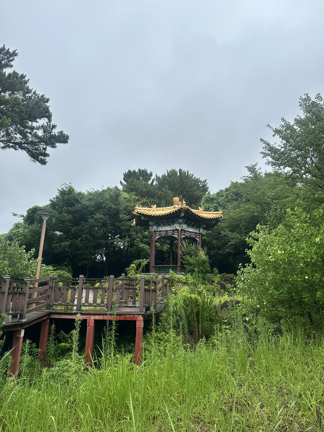  Top Things to Do in Seogwipo, Jeju 🌊