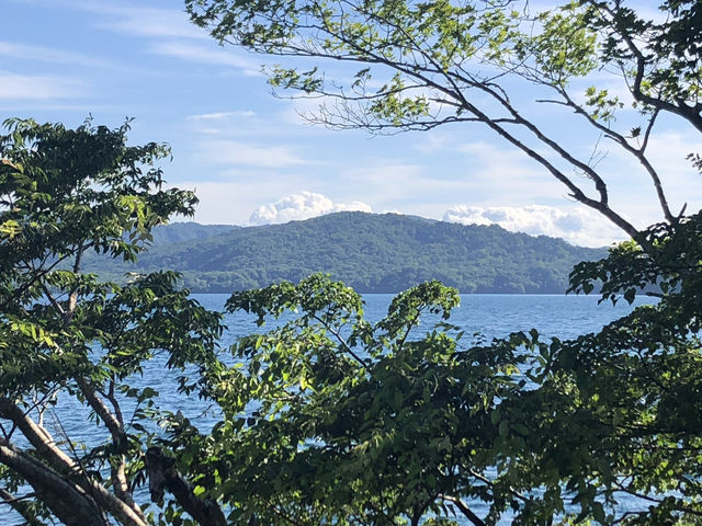 緑と清流に包まれる夏　奥入瀬渓流散策