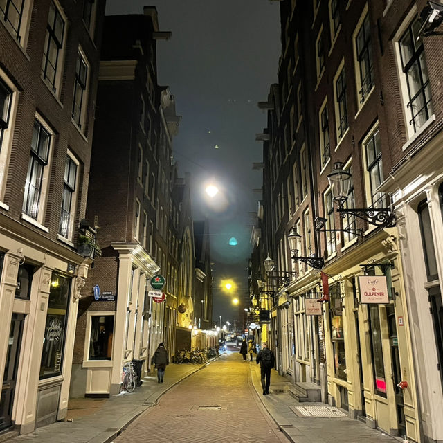 Amsterdam on a Shoestring: Canals, Parks & Local Life
