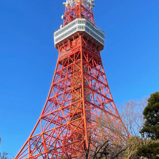 Tokyo: Where Tradition Meets Tomorrow