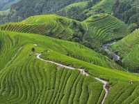 Sleep Above the Clouds at Longji's Ancient Rice Terraces 🌾