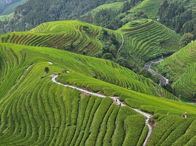 Sleep Above the Clouds at Longji's Ancient Rice Terraces 🌾