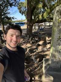 Japan Itinerary 3: Just back from a deep-dive day in Nara