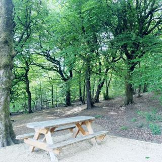 จากแมนเชสเตอร์สู่ยอดเขา: เดินเล่นในเมืองพร้อมสัมผัสชนบท