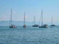 The Essence of Boats in Paxos