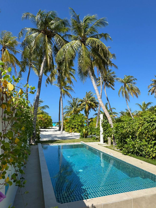 Maldives 🇲🇻 — Where Beauty Meets Opportunity Maldives 🇲🇻 — Where Beauty Meets Opportunity