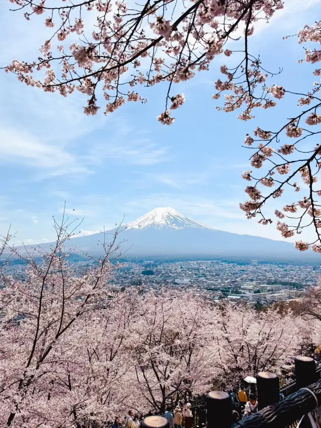 東京:當秋天遇上春天的魔法
