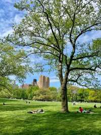 Central Park, it’s basically Hollywood’s favorite green screen!