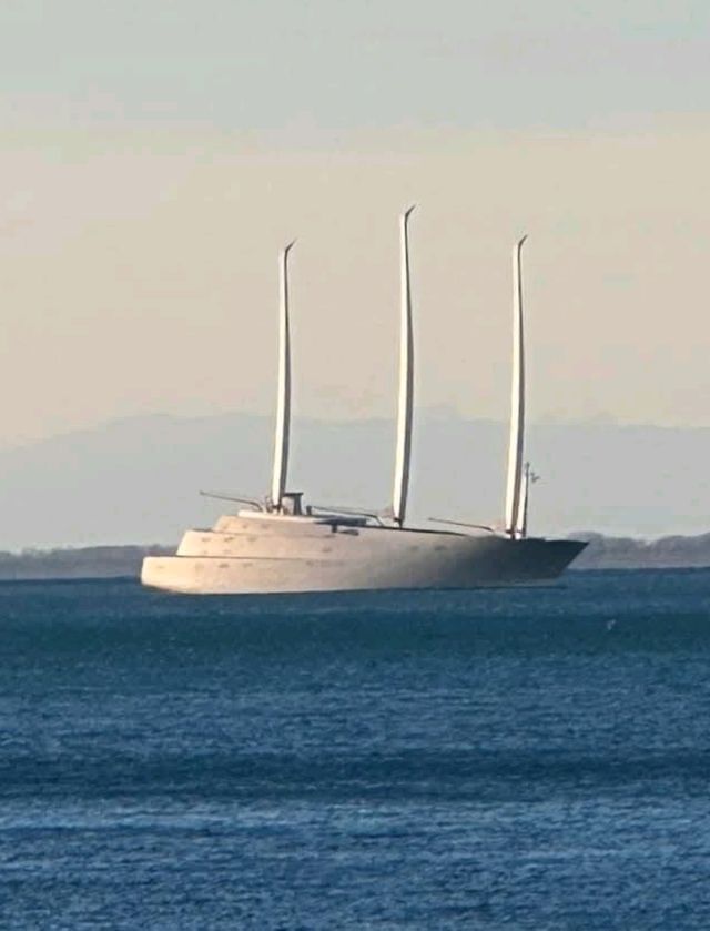 Miramare Castle: The Castle Built for Love (and Cursed by Love) Miramare Castle: The Castle Built for Love (and Cursed by Love)