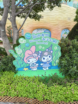 親子必訪人氣地標——香港海洋公園遊玩體驗&貼士