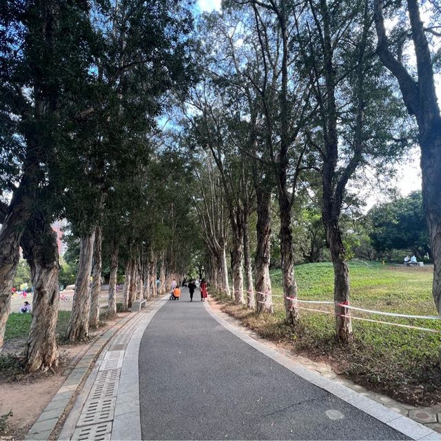 打卡深圳靈芝公園
