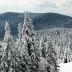 ulric_0920
